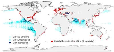 A Global Ocean Oxygen Database and Atlas for Assessing and Predicting Deoxygenation and Ocean Health in the Open and Coastal Ocean